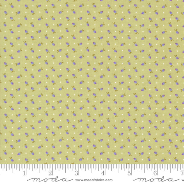 Georgia by Brenda Riddle Layer Cake (Moda Fabrics) - Image 27