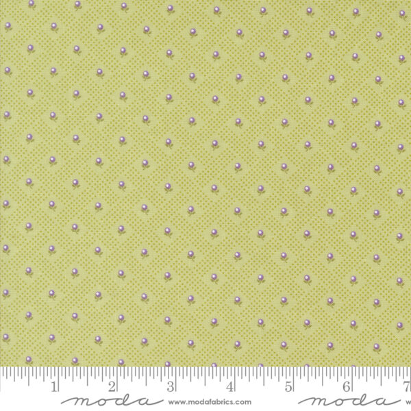 Georgia by Brenda Riddle Layer Cake (Moda Fabrics) - Image 12