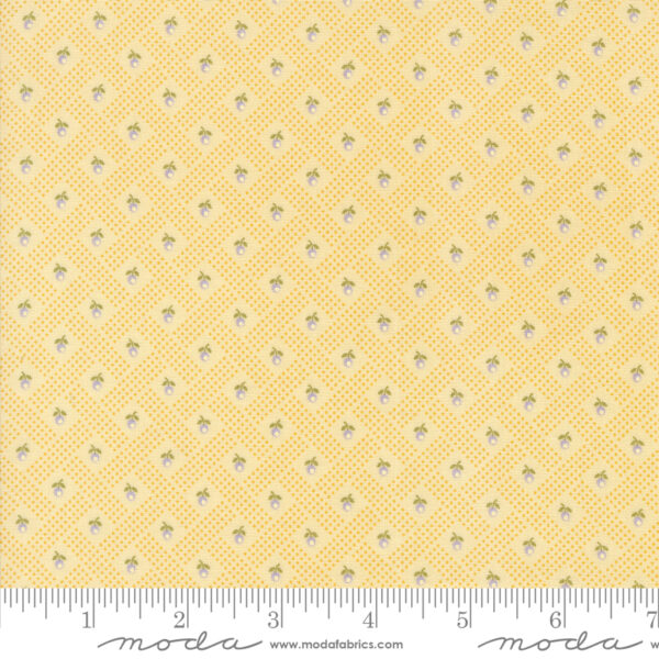 Georgia by Brenda Riddle Layer Cake (Moda Fabrics) - Image 13