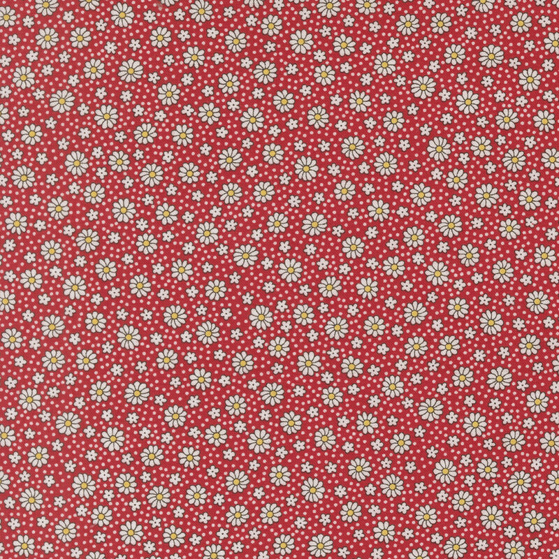 Quilters Anonymous – Longarm Quilting Services