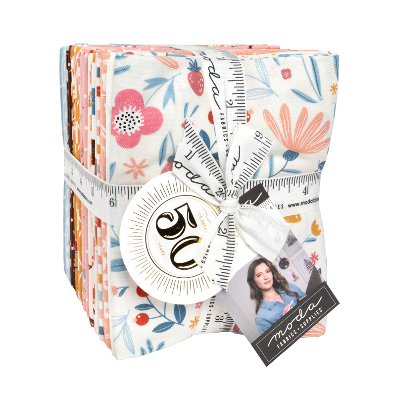 Quilters Anonymous – Longarm Quilting Services