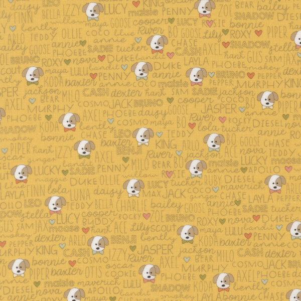 Lucky by Sweetwater (Moda Fabrics) - Image 25