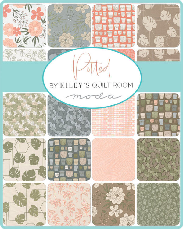 Potted by Kiley's Quilt Room (Moda Fabrics)